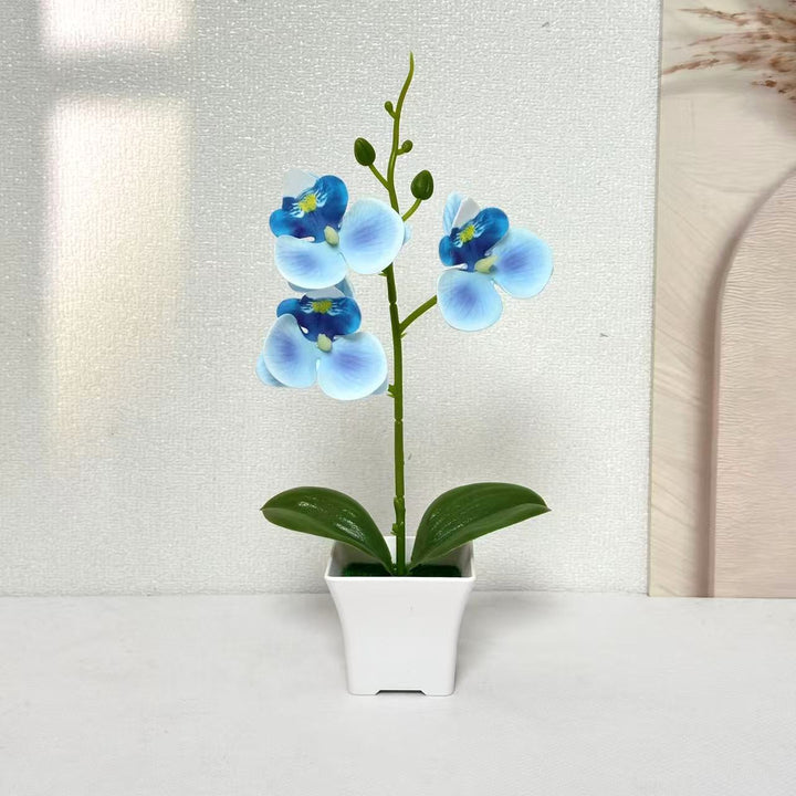 Artificial Orchid Arrangement for Home and Office Decor