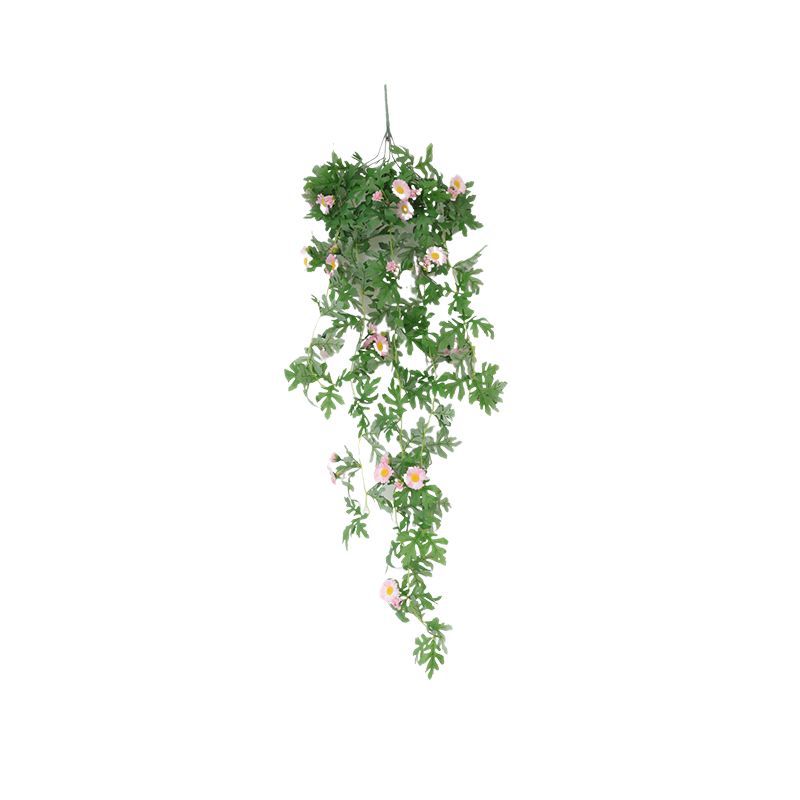 Hanging Decorative Plant Kalsten