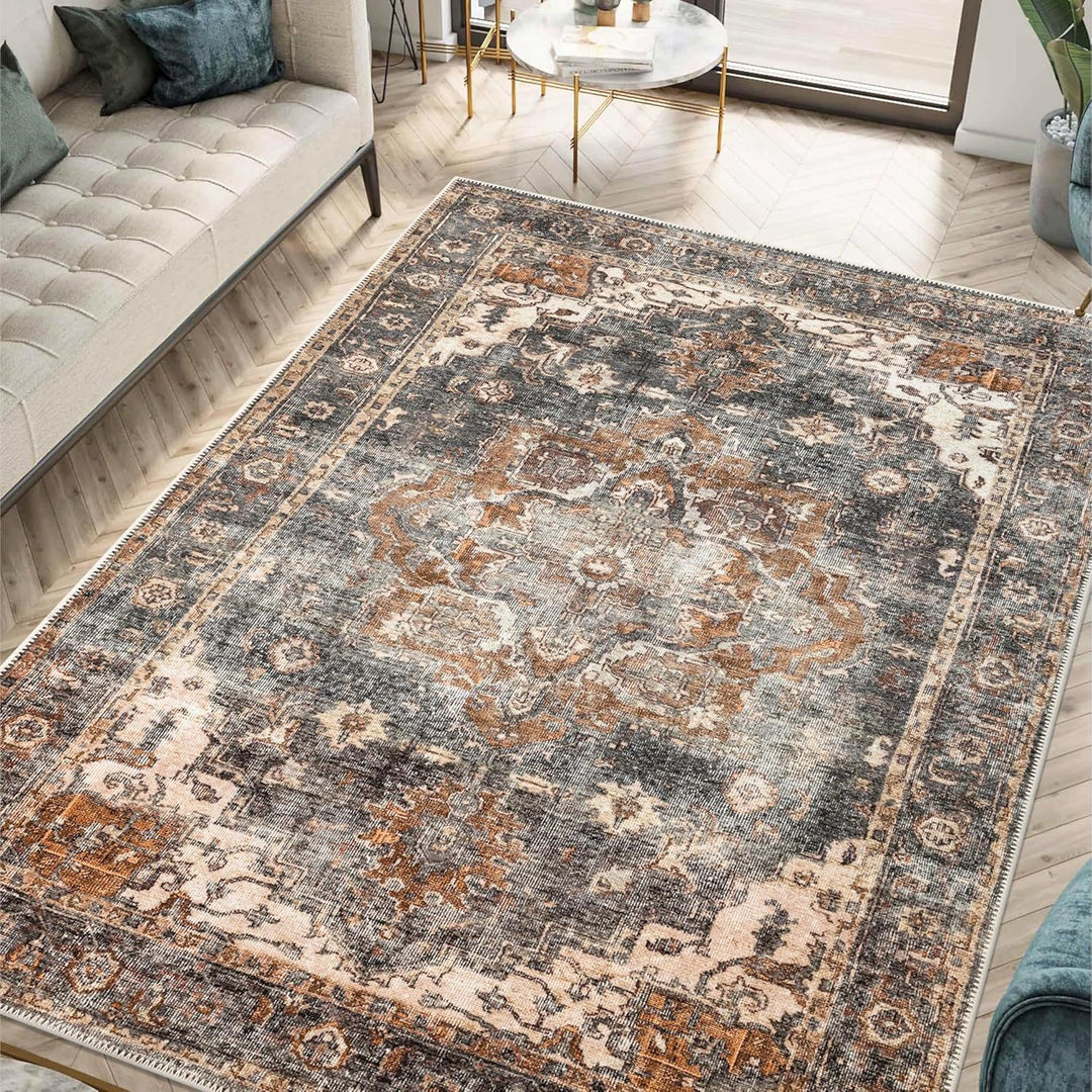 Bohemian Inspired Geometric Area Rug