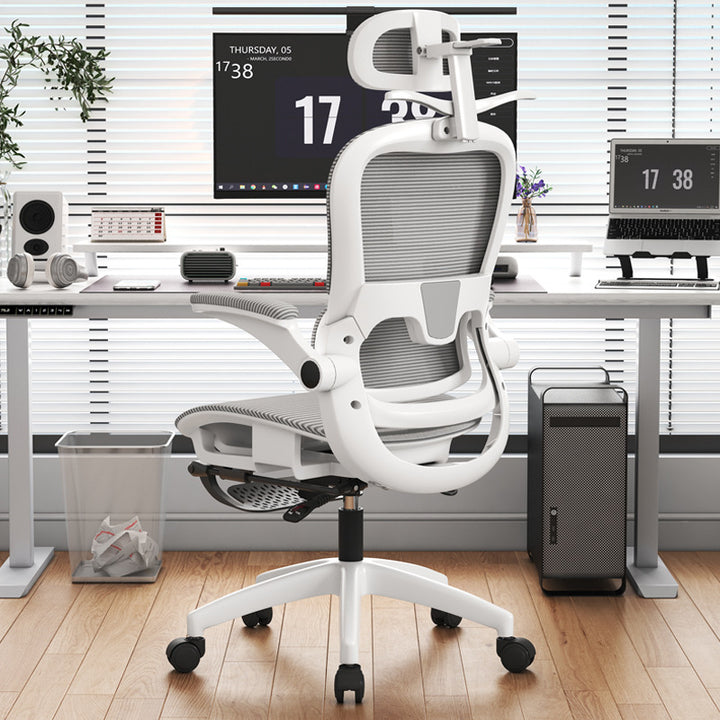 Adjustable Lumbar Support Office Chair Kalsten