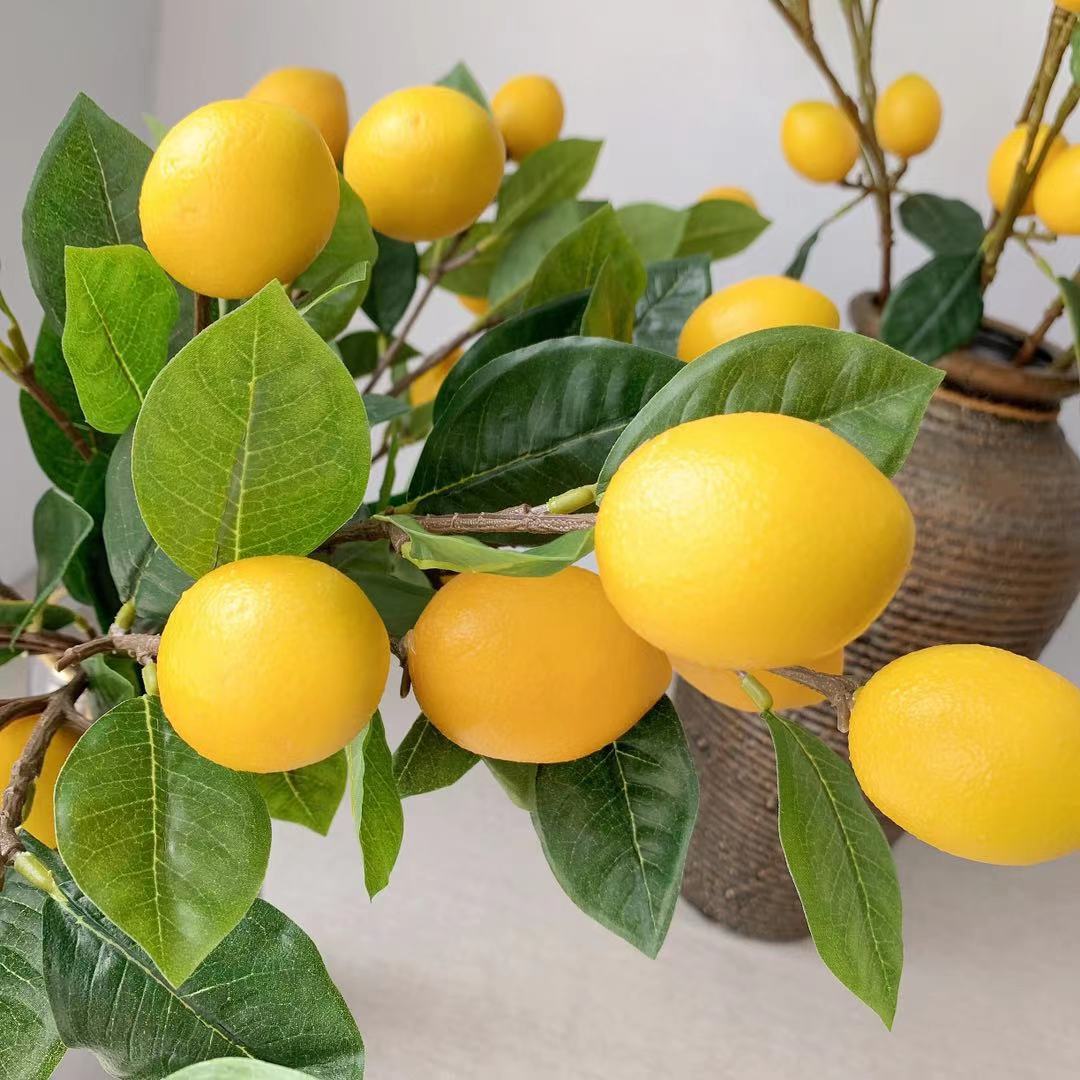 Decorative Lemon Branch