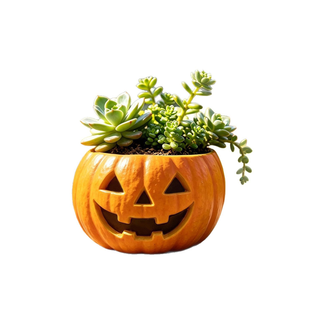 Ceramic pumpkin flower pot with carved pumpkin face and succulent insert