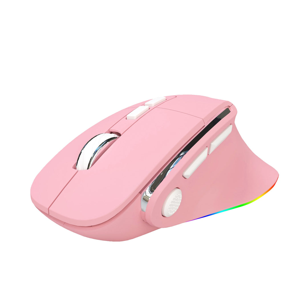 Wireless Ergonomic Gaming Mouse Kalsten
