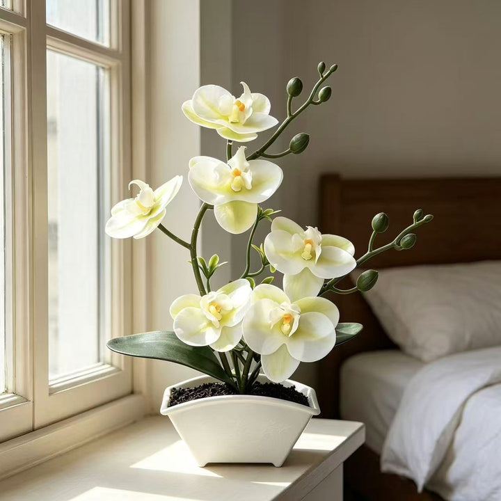 Realistic Decorative Orchid Plant Arrangement