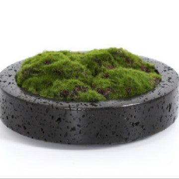 Home decoration Flower pot