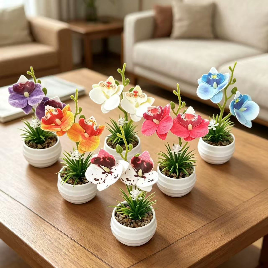Decorative Miniature Orchid Centerpiece