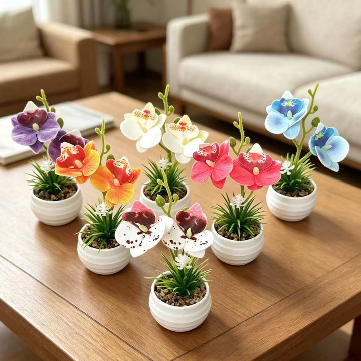 Decorative Miniature Orchid Centerpiece