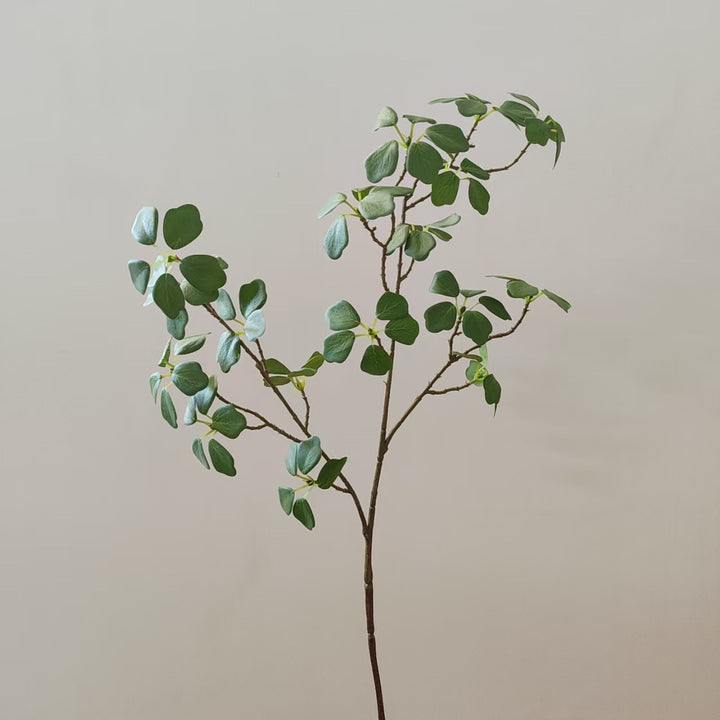 Decorative Fern Branch
