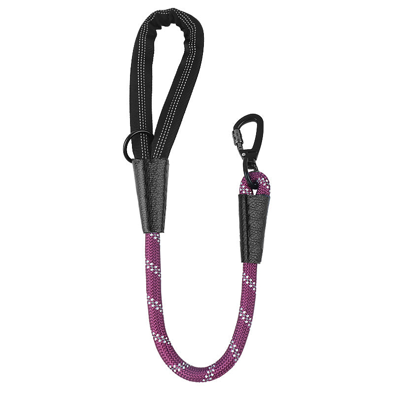 Dog Leash