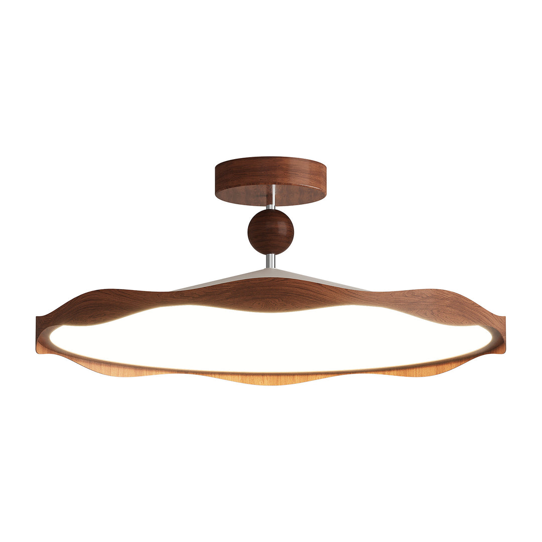 Contemporary Ceiling Light Fixture