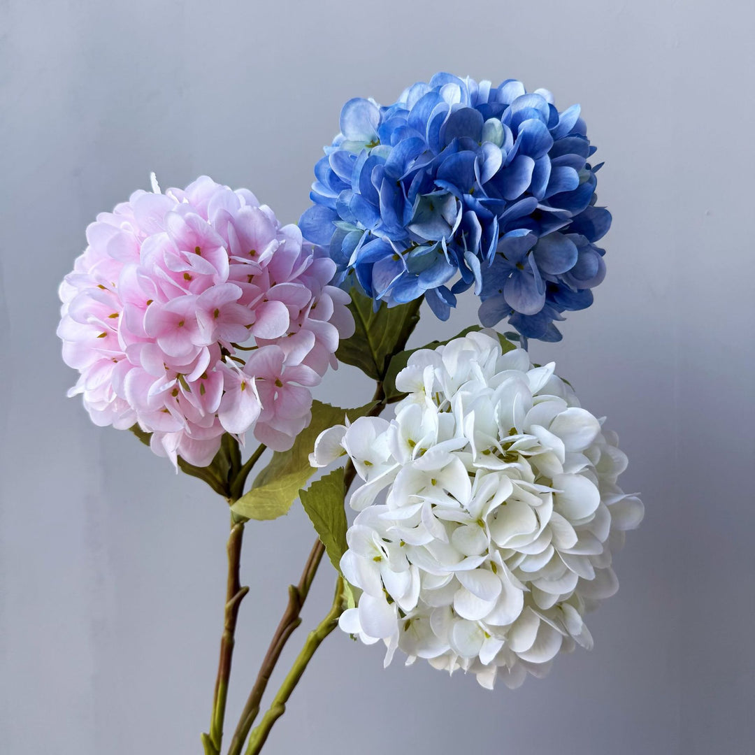 Floral Decorative