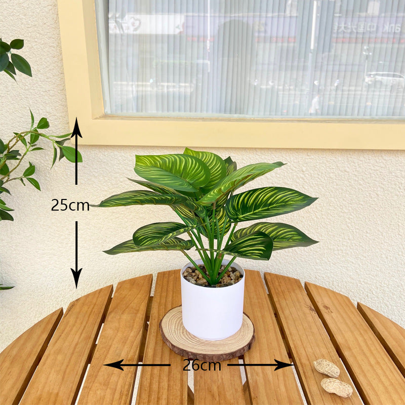 Lifelike Indoor Fern Plant