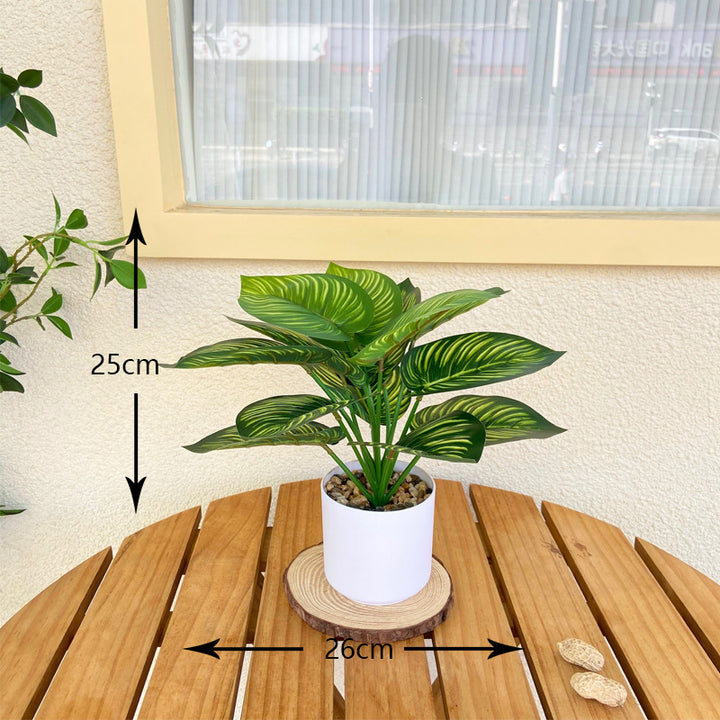 Lifelike Indoor Fern Plant