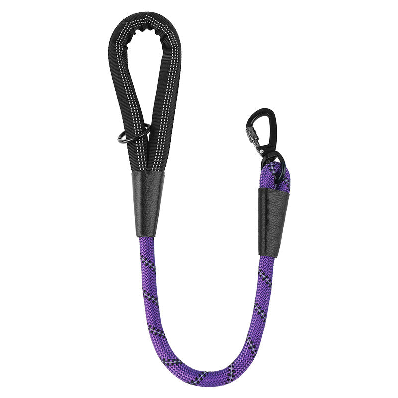 Dog Leash