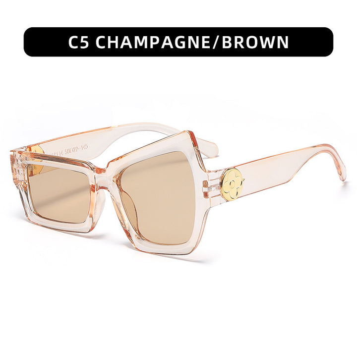 Chunky Geometric Sunglasses