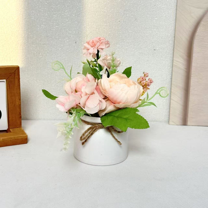 Decorative Ceramic Pot for Home Plant Display