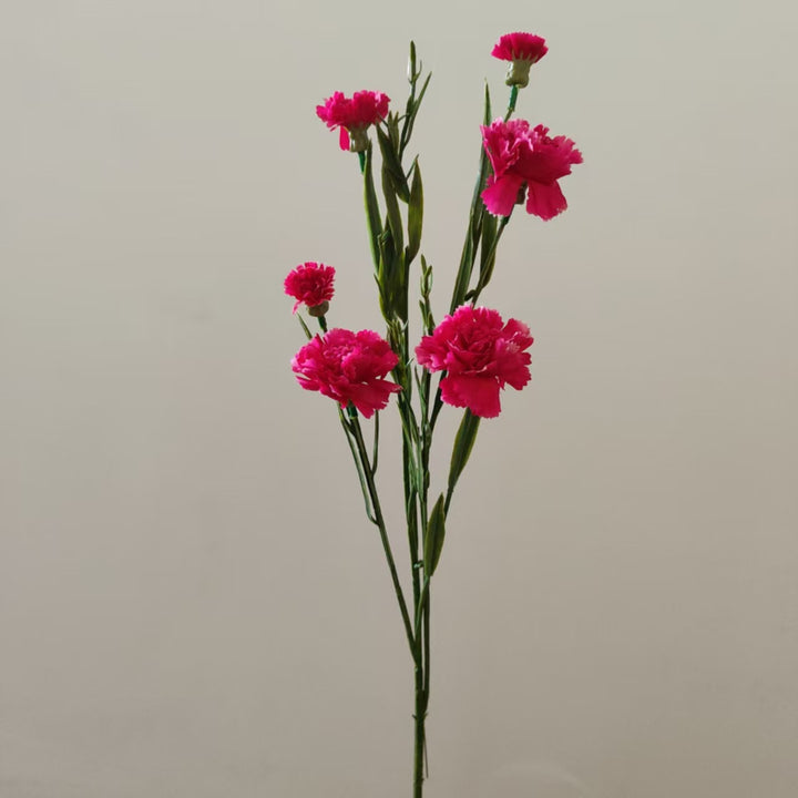 Realistic Carnation Floral Stem
