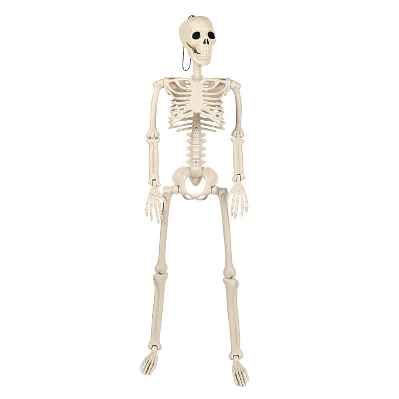 Decorative Skeleton Kalsten
