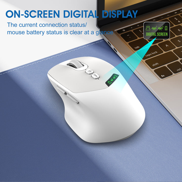 Ergonomic Funk Mouse Kalsten