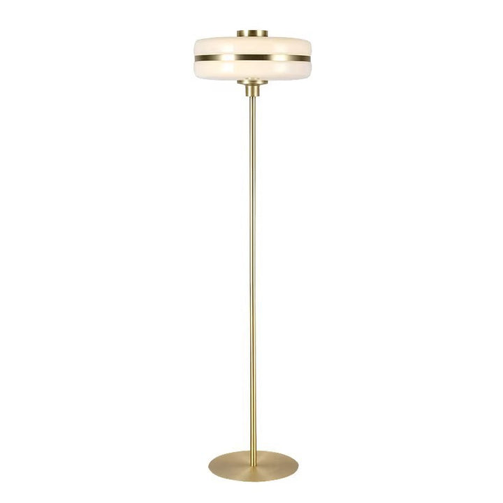 Modern Gold Accent Floor Lamp