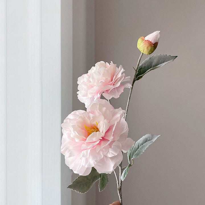 Realistic Peony Flower Stem