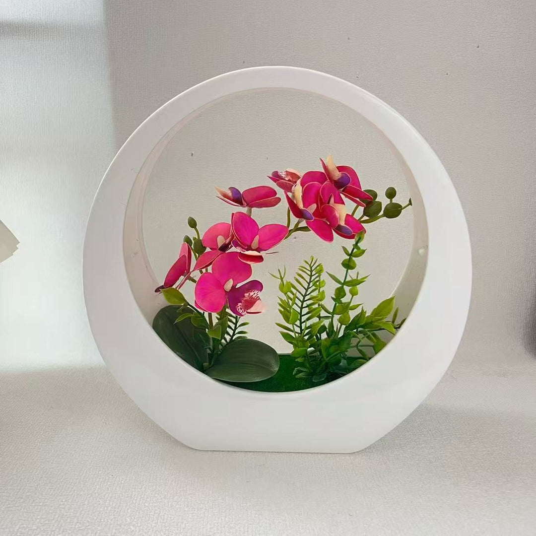 Decorative Orchid Plant in Modern Circular Vase