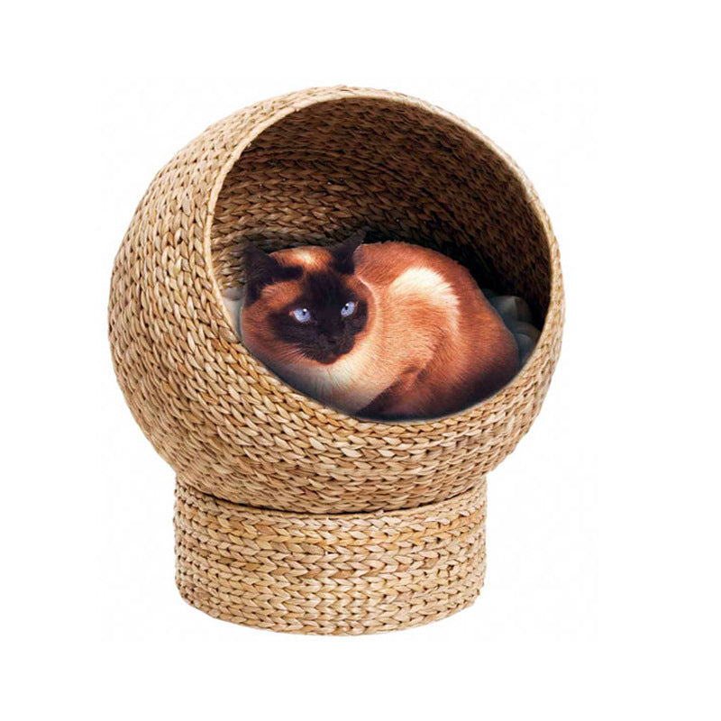 Katzenkuhle Kalsten