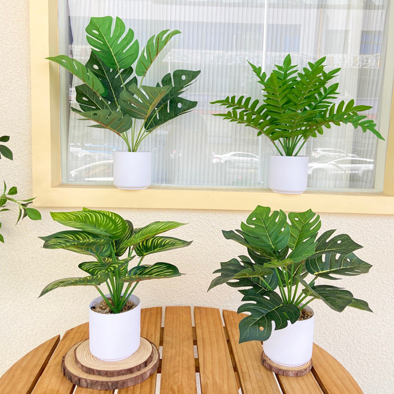 Lifelike Indoor Fern Plant