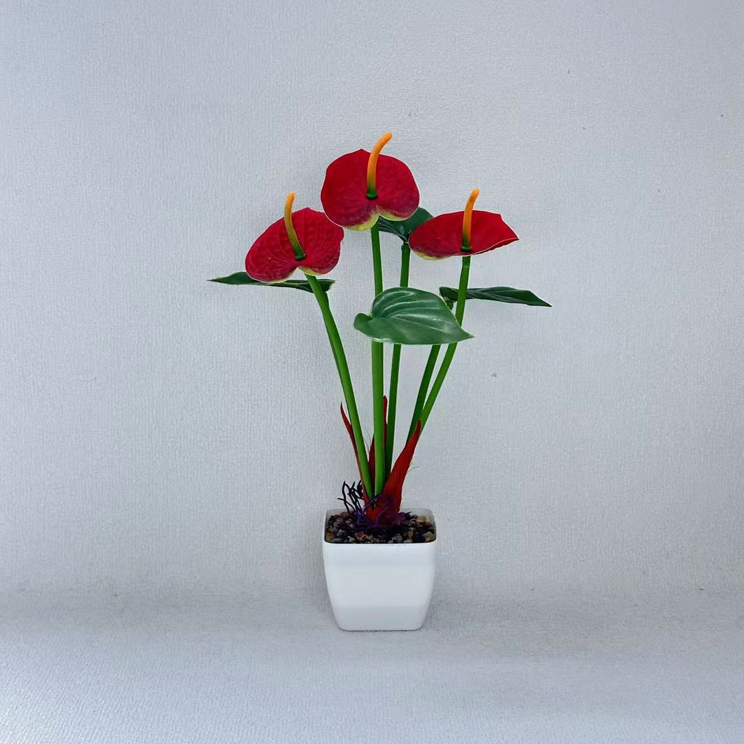 Realistic Anthurium Plant Arrangement