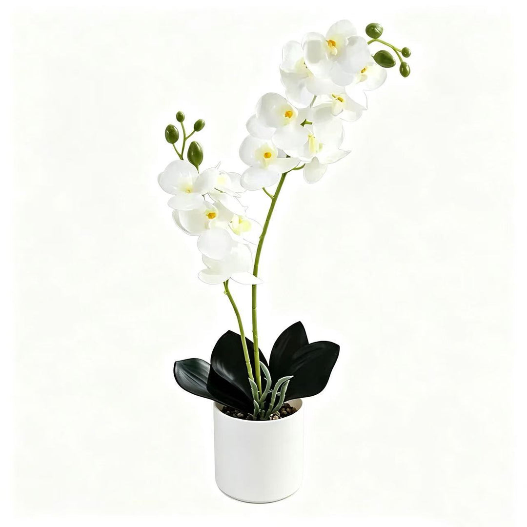 Lifelike Orchid Home Décor