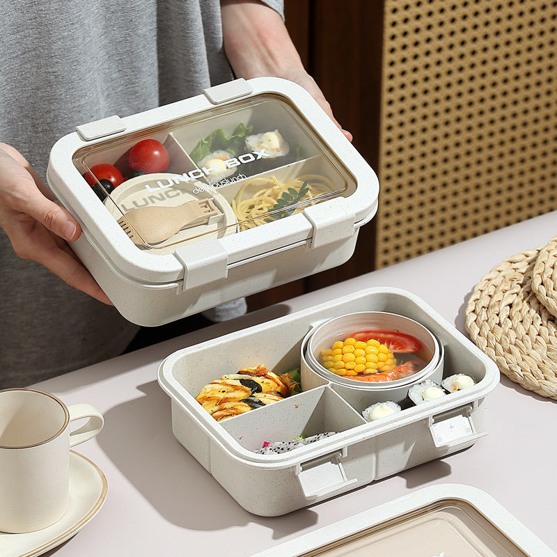Elegant Multi-CompartmentLunch Box