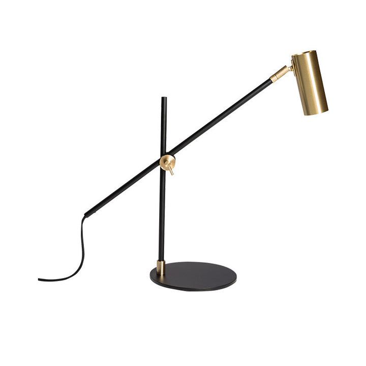 Adjustable Desk Lamp with Gold Accent