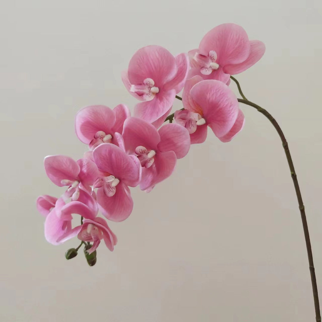 Realistic Orchid Floral Arrangement