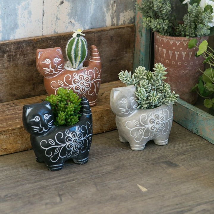 Decorative Plant Kalsten