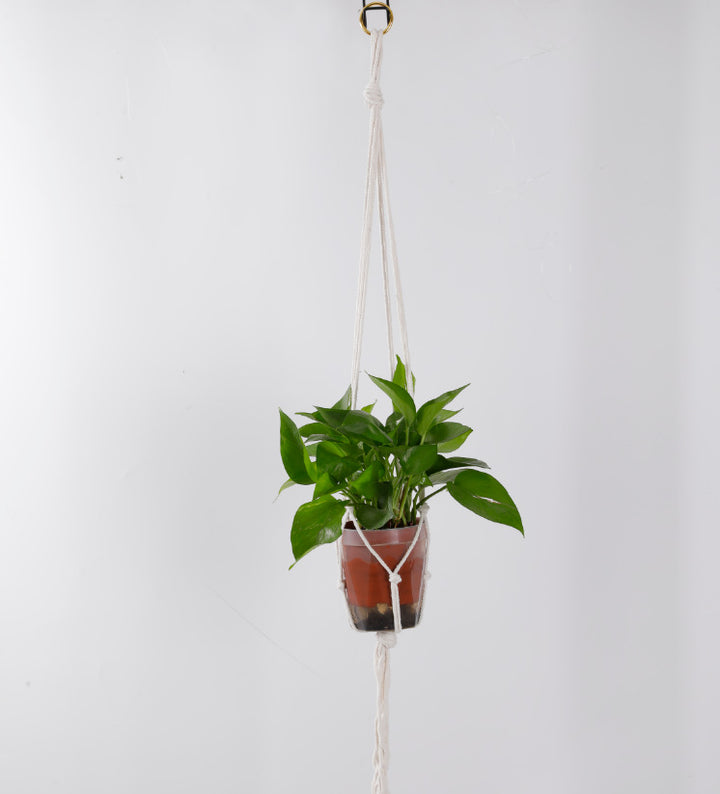 Macrame Plant Hanger Hooks Kalsten