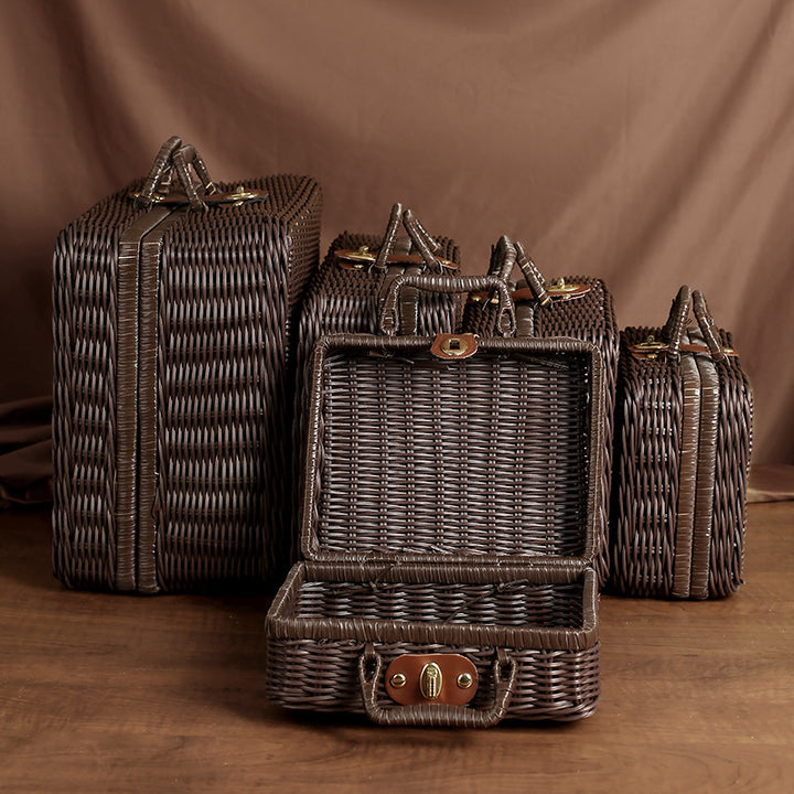 Chic Woven Storage Handbag Kalsten