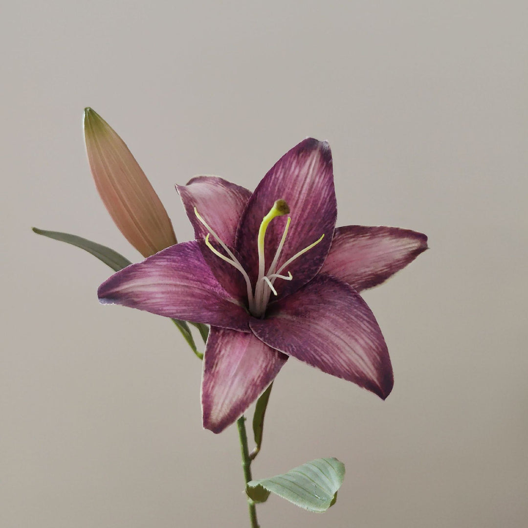 Lifelike Lily Stem