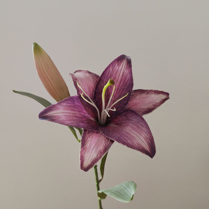 Lifelike Lily Stem