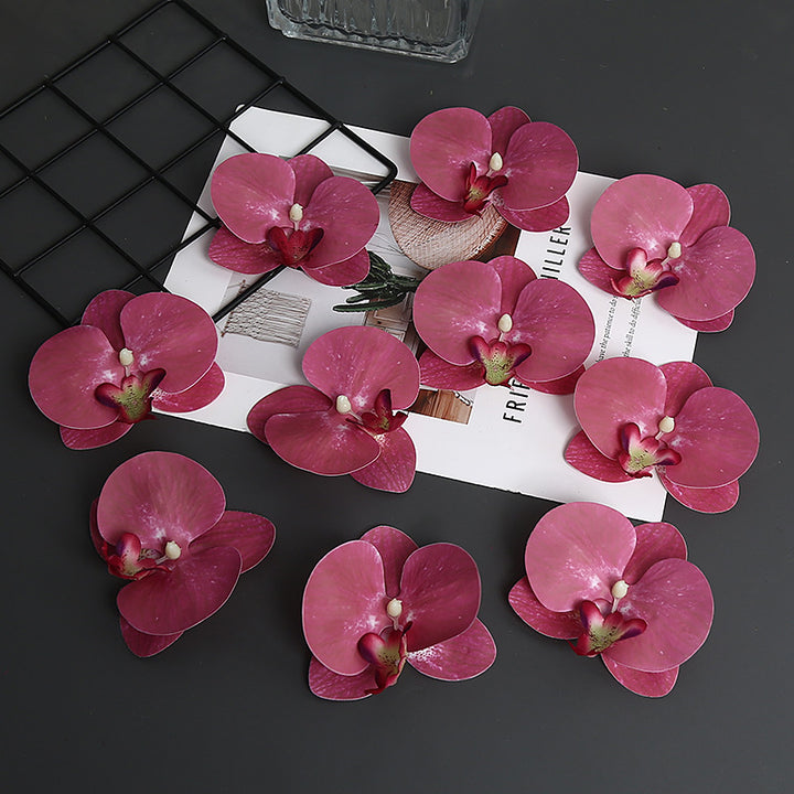 Decorative Orchid Petal for Home Decor Display