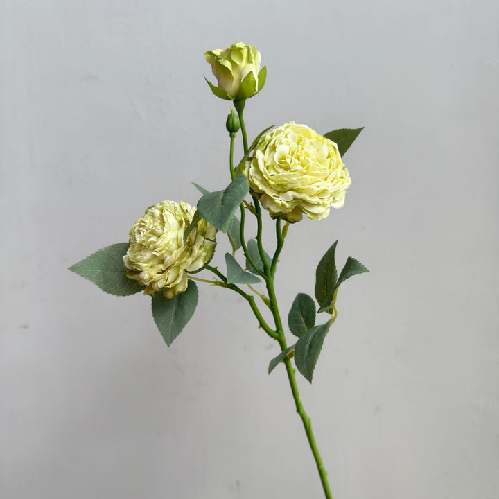 Modern Floral Decor