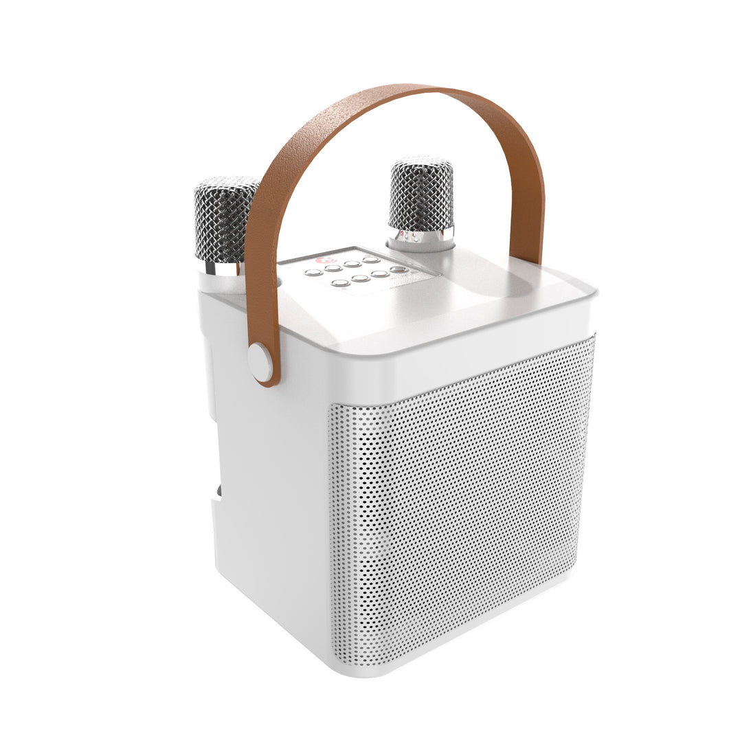Wireless Karaoke Speaker with Microphone Kalsten