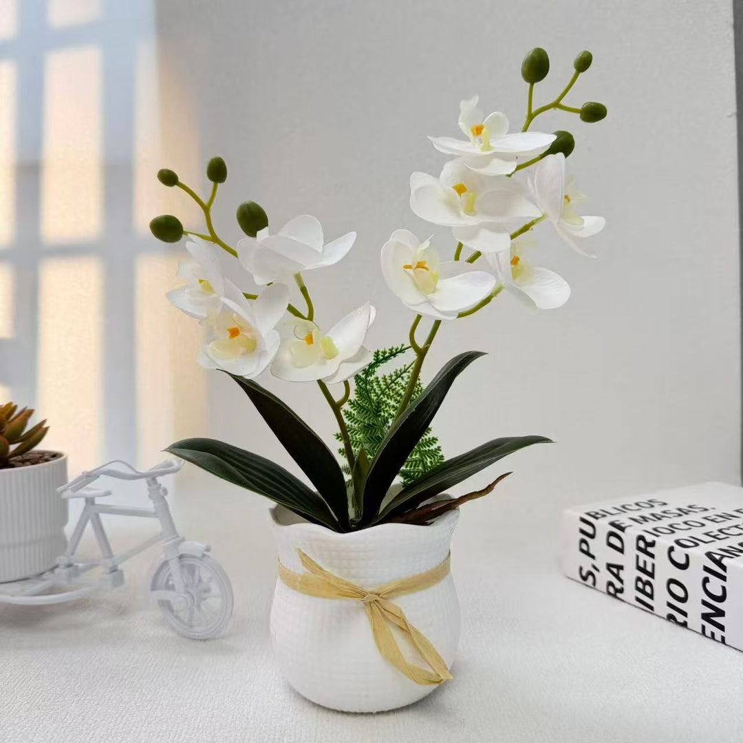 Realistic Decorative Orchid Plant