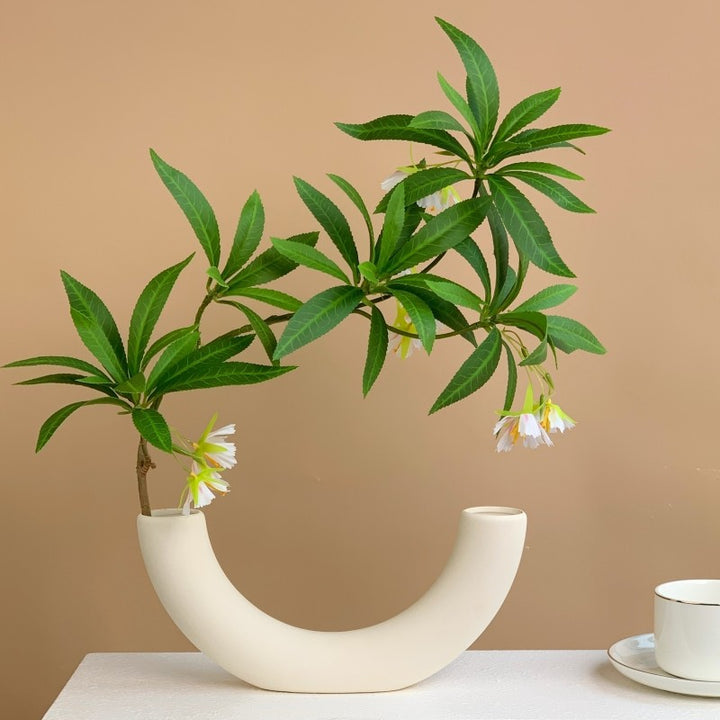Artistic Curved Vase for Home Decor Display