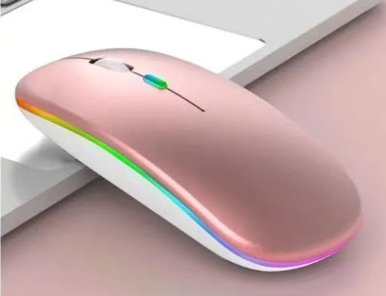 Wireless Ergonomic Mouse Kalsten
