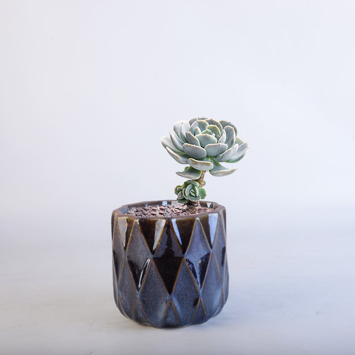 Elegant geometric plant bowl Kalsten