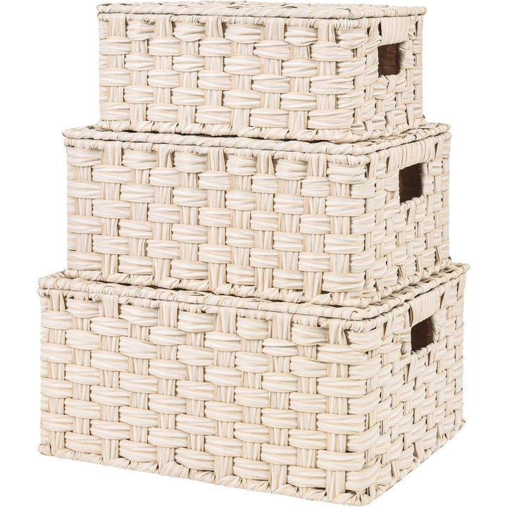 Handwoven Storage Baskets Set Kalsten