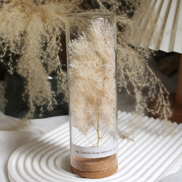 Preserved Flower Display in Elegant Glass Cylinder