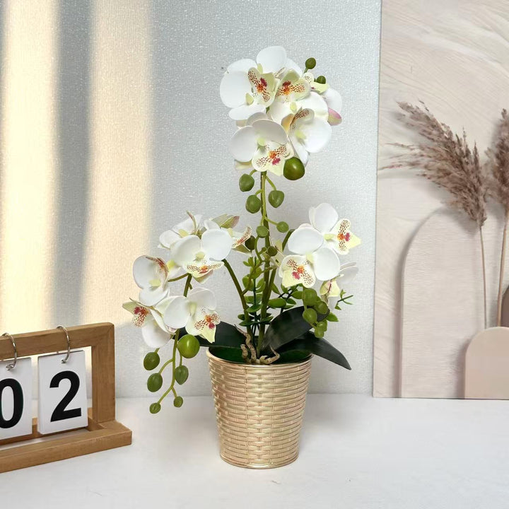 Decorative Orchid Plant for Tabletop Home Decor