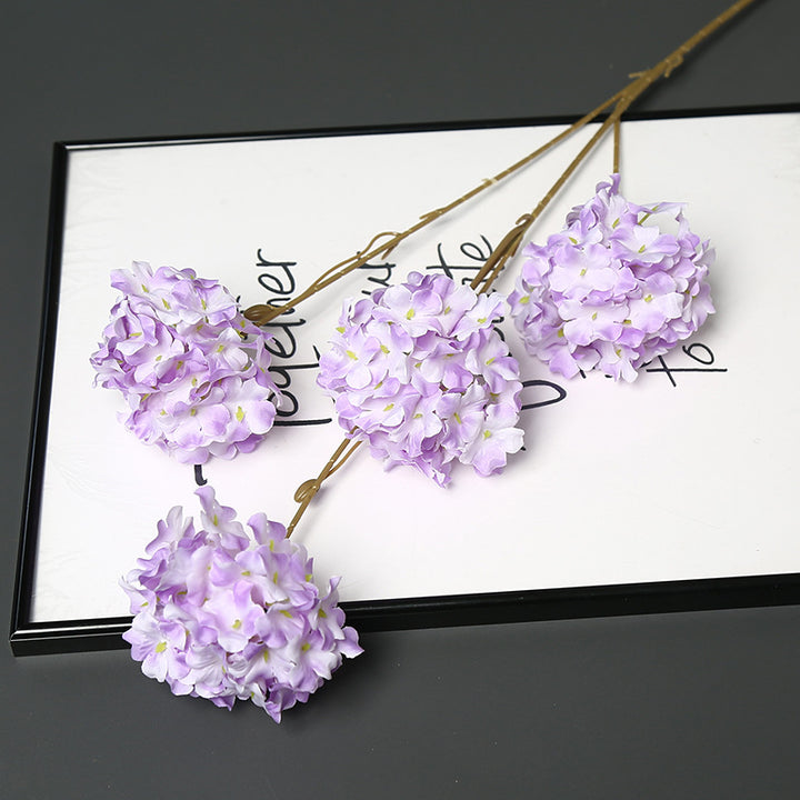 Decorative Dried Floral Stem for Home Decor