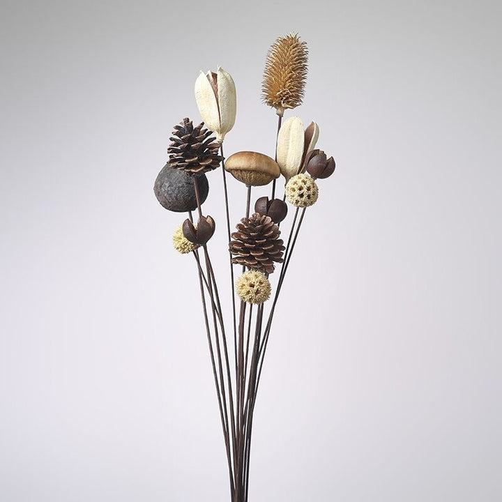 Natural Cotton Flower Stem